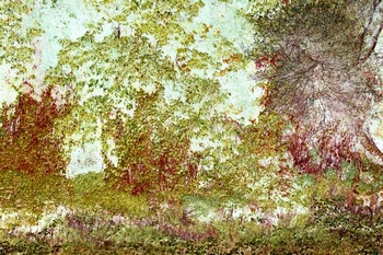 N 072